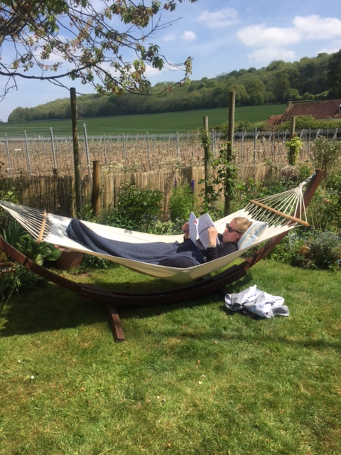 Person laying in a hammock